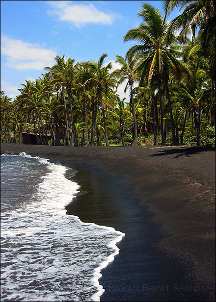 Punalu'u Beach, black lava sand beach with jungle vegetation and palms on the right