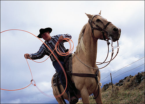 Horseback cowboy with lasso at Parker Cattle Ranch