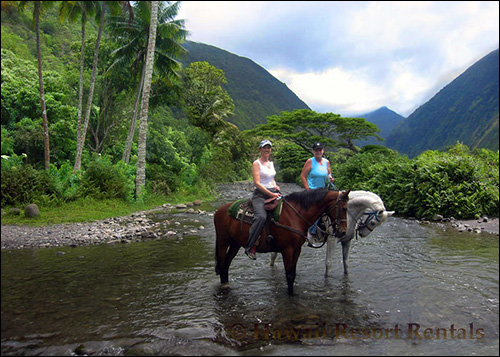 Waipi'o Valley from horseback