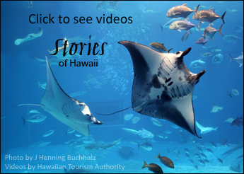 Click here to see Stories of Hawaii